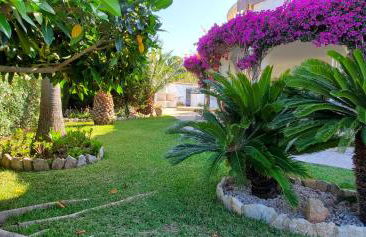 Casa Del Sol - Foto 8