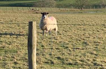 The Tiny Chapel with Hot Tub - Photo 36