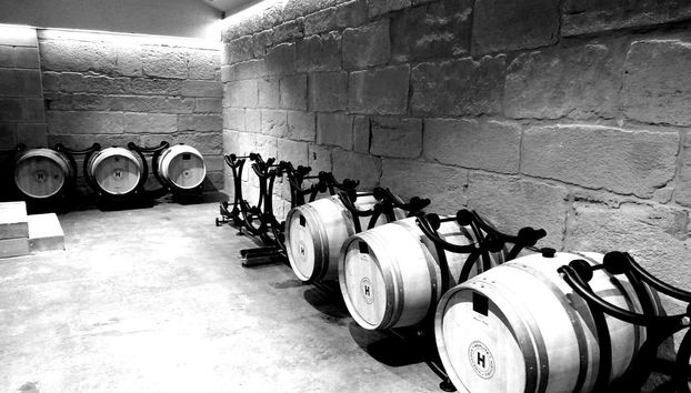 Come on a tour of the Hoplita Winery