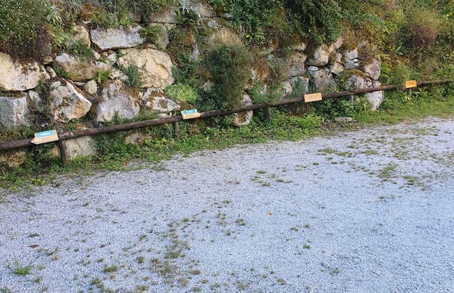 Résidence les trois jardins - Foto 30