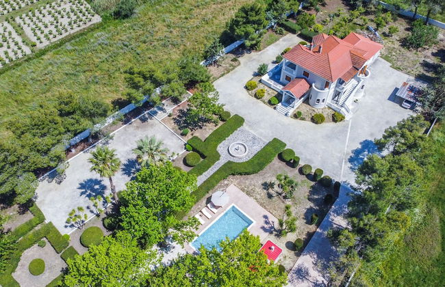 Adriana Di Levante - Foto 1