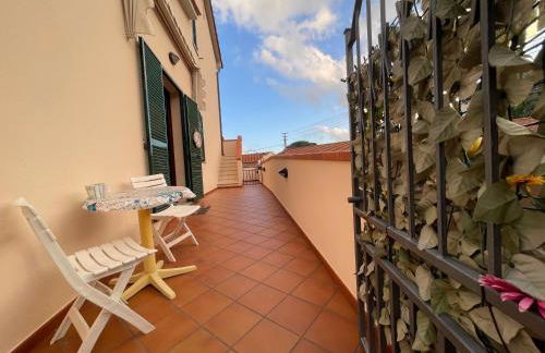 La Conchiglia - Foto 10