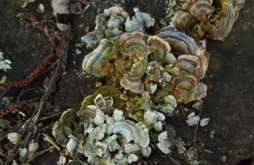 Casa Rural Las Jañonas CC-CR-00219 - Foto 26