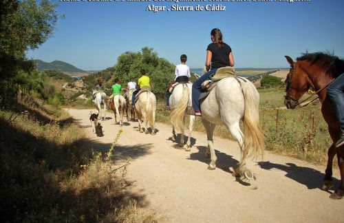 Alojamiento Rural - Finca Santa Margarita - Foto 31