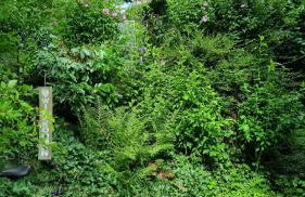 Hüschelrath gemütlich Natur - Foto 8