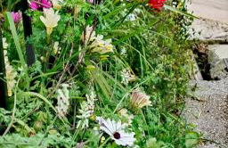 Allin home - Foto 44