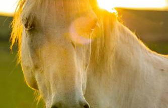 The Bothy - Photo 18
