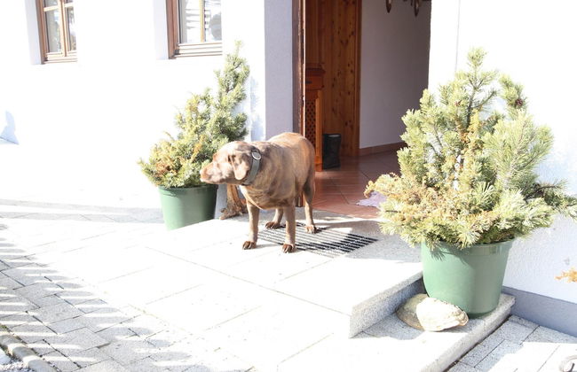 Charming Holiday Home in Huttau With Barbecue - Foto 31