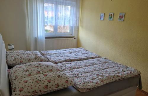 Ferienwohnung Erzgebirgsblick - Foto 11