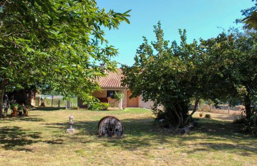 Casa AsCampinas - Foto 20