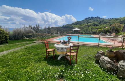 Agriturismo LUCERTOLA - Foto 15