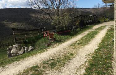 Agroturizam Toni - Foto 48