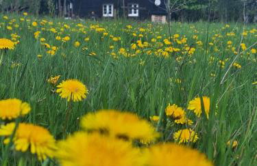 Agroturystyka Cieślarówka - Foto 30