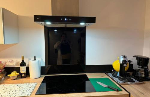 Au fil de l'eau Malzéville 6 pers - Foto 10