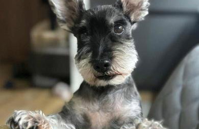 Classic&Modern Suite - Foto 21