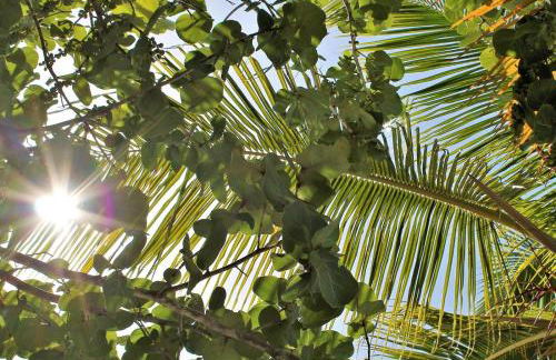 Villa de la Luz - Foto 50