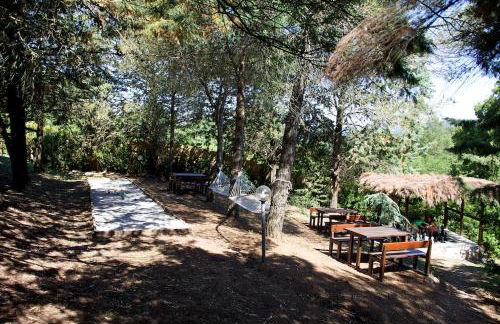 Villa Ginestra a "Casa Conti di Sotto" - Foto 6