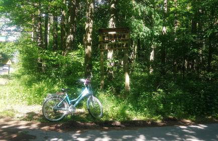 Domki RADAWA na Kliszówce - Foto 71