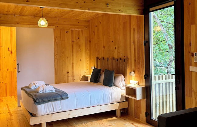 Enoturismo María Manuela - Photo 13