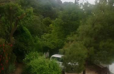 Finca Rústica La Pájara - Foto 37