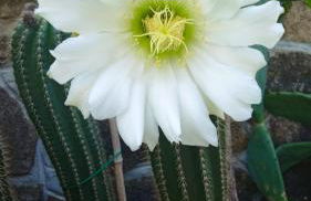 Casa vacanze Ester - Photo 61