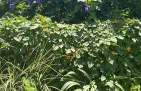une pépite ZEN et COSY, parking jardin, idéal pour se ressourcer au calme - Foto 19