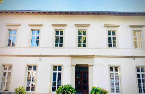 Altstadt pur!An der wunderschönen Katharinenkirche - Foto 5