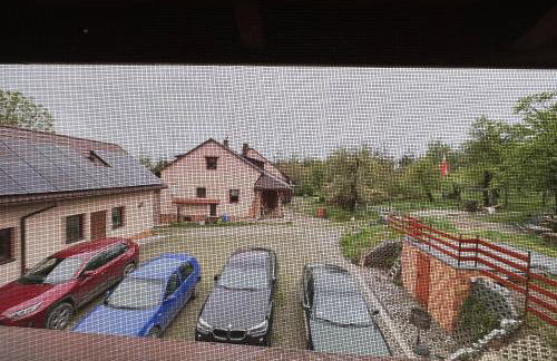 Farma Albert Korzenie - Foto 28