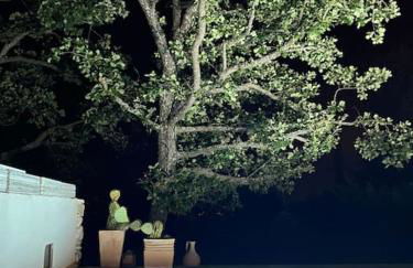 Le Jas Gabriel - Foto 27