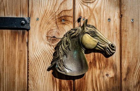 Apartements Precalalt - Foto 25