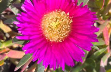 Casa Biamar - Photo 23