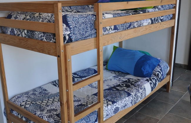 Oliva Azzurra - Foto 8