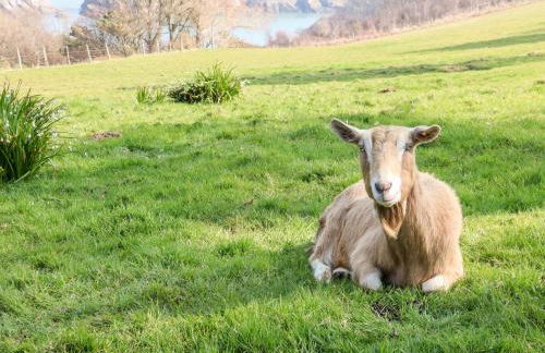 Heron Cottage - Foto 21