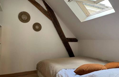 T3 cinéma - Centre historique, bord de Loire - Foto 7