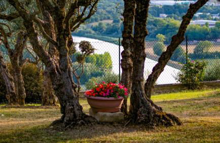 Agriturismo Pascucci - Foto 38