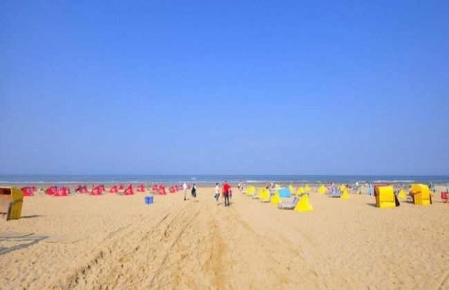 Timeless Charm and Cozy Stay - Photo 40