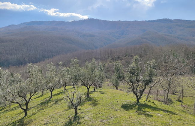 Agriturismo Li Guira - Foto 68