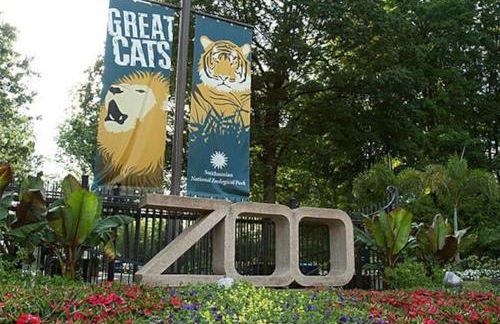 2BR Columbia Heights APT Walk 2 Metro & Shops - Foto 17