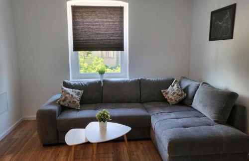 Exklusievwohnung Weißenfels - Foto 11