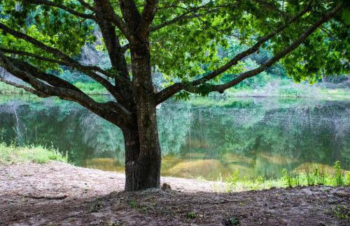 Quinta da Lontra - Foto 36