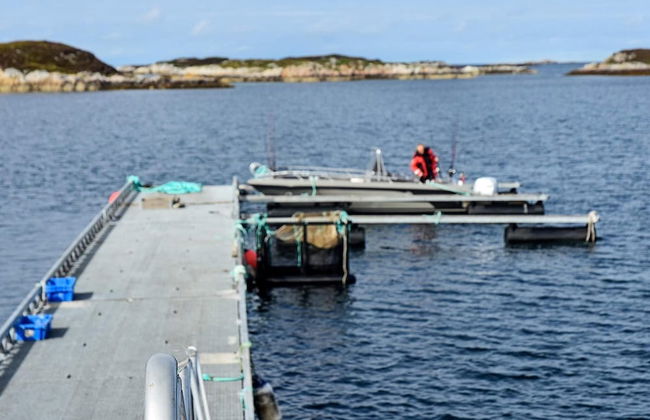 6 Person Holiday Home in Dyrvik - Foto 13