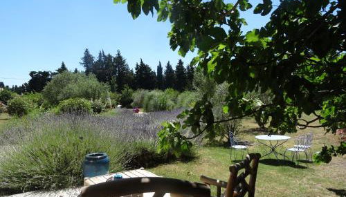 Le Nid de la Huppe - Foto 4