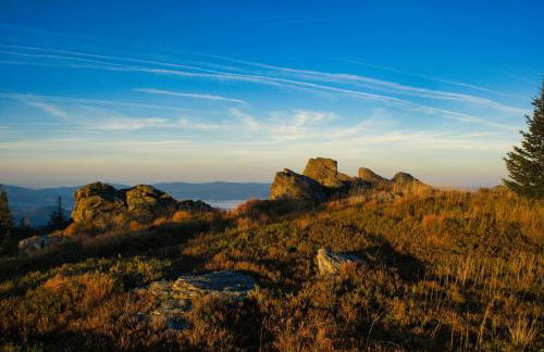 Waidlerland Waldkirchen Chalets - Foto 74