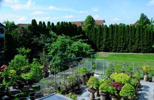 Bonsai-Ferienwohnung - Foto 34