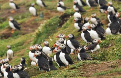 The bathhouse - Foto 10