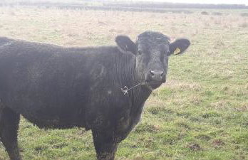 Lanarkshire Apartment- Views- Sleeps 4- Balcony - Photo 26