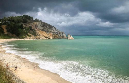 Cap Morgat à l'écho des vagues - Photo 42