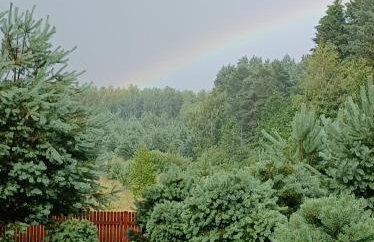 sosnowelowe - Foto 72