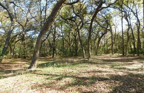 Country living at the Barn - Foto 13