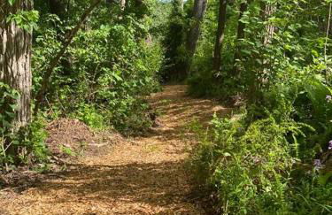 Murphys Law Inn 4 - Foto 21